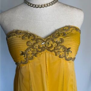 Cache Golden Maxi Dress with Decorative Bodice